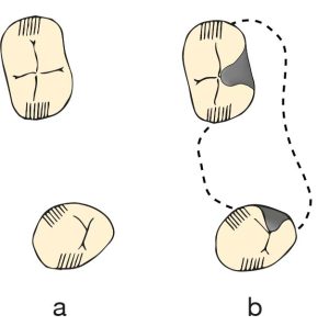 Şekil 2-4